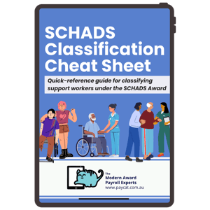 SCHADS Classification Cheat Sheet mockup cover